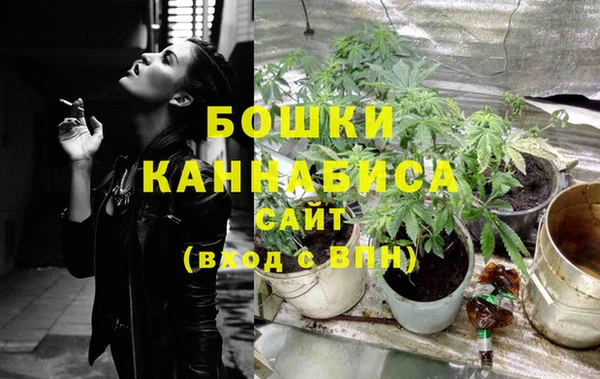 спиды Аркадак